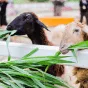 搜索资讯 - 九游