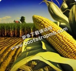 用专业服务，连接玩家与游戏 - 九游